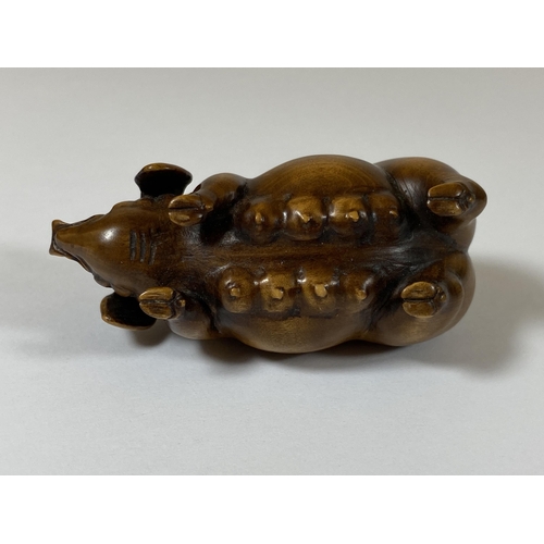 340 - AN ORIENTAL NETSUKE OF A PIG, LENGTH 6CM