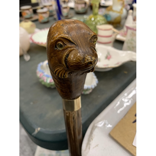 233 - A VINTAGE WALKING STICK WITH SEAL HEAD TOP