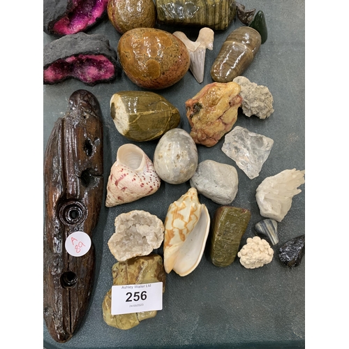 256 - A MIXED LOT OF SHELLS, CRYSTAL ROCKS ETC