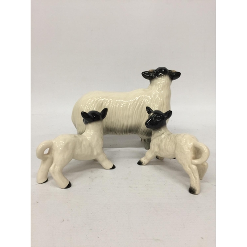 704 - A COOPERCRAFT SHEEP WITH TWO LAMBS