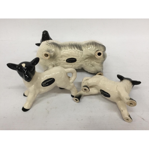 704 - A COOPERCRAFT SHEEP WITH TWO LAMBS