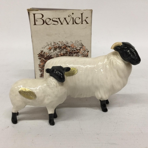 714 - A BESWICK ABERDEEN ANGUS CALF TOGETHER WITH A BLACK FACED RAM AND BLACK FACED SHEEP