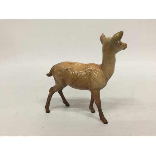 727 - A BESWICK FALLOW DEER DOE