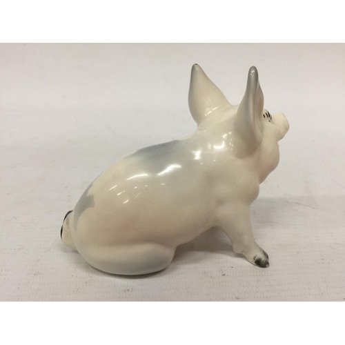 728 - A VINTAGE 1950'S BESWICK SEATED PIG