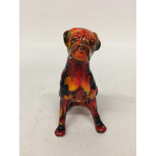 734 - AN ANITA HARRIS BOXER DOG SIGNED IN GOLD