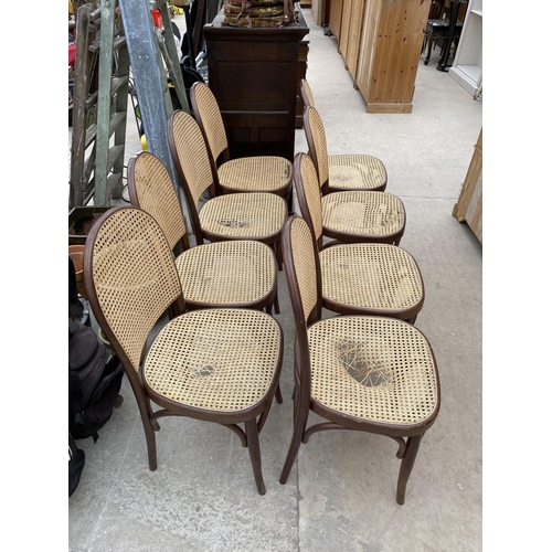 2899 - EIGHT MODERN BENTWOOD DINING CHAIRS WITH CANE SEATS AND BACKS A/F