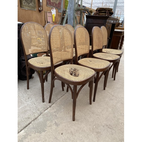 2899 - EIGHT MODERN BENTWOOD DINING CHAIRS WITH CANE SEATS AND BACKS A/F