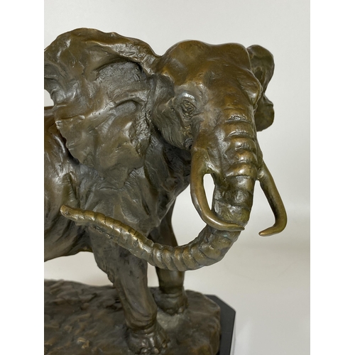 10 - A LARGE BRONZE MODEL OF AN AFRICAN ELEPHANT ON MARBLE BASE, SIGNED BARYE, HEIGHT 29CM, LENGTH 29CM