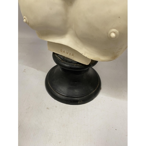 79 - A LARGE DECORATIVE HEAVY RESIN BUST OF DAVID, HEIGHT 53CM