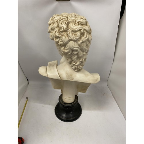 79 - A LARGE DECORATIVE HEAVY RESIN BUST OF DAVID, HEIGHT 53CM