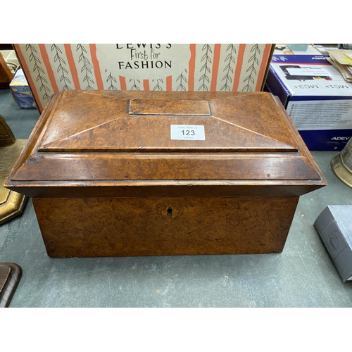 123 - A VICTORIAN BURR MAPLE TEA CADDY, 35 X 18CM