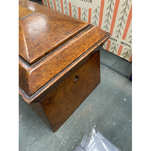 123 - A VICTORIAN BURR MAPLE TEA CADDY, 35 X 18CM