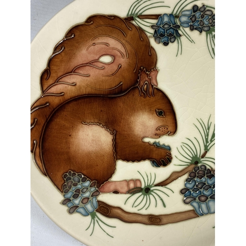 88 - A LIMITED EDITION MOORCROFT POTTERY SQUIRREL PATTERN PLATE, NUMBER 330/500, 1995