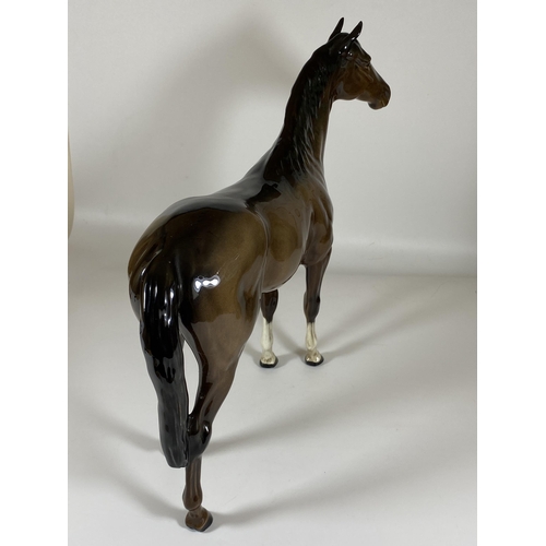 701 - A LARGE BESWICK HUNTER RACEHORSE '1771' BROWN GLOSS HORSE FIGURE, HEIGHT 30CM