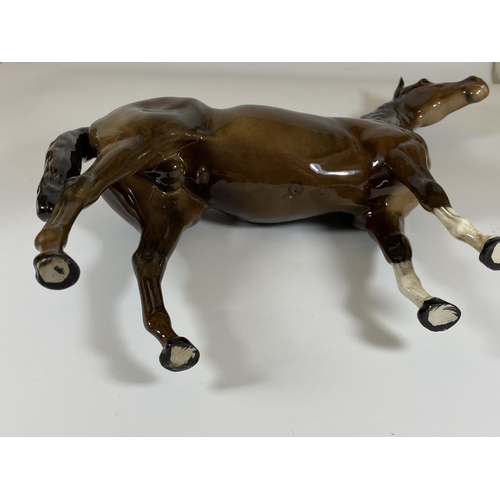 701 - A LARGE BESWICK HUNTER RACEHORSE '1771' BROWN GLOSS HORSE FIGURE, HEIGHT 30CM