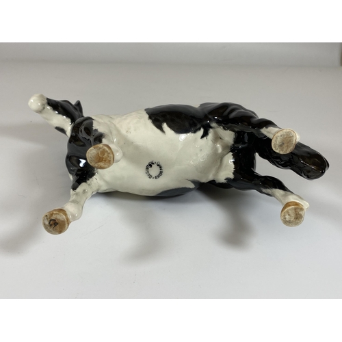 704 - A BESWICK PINTO PIEBALD 1373 GLOSS HORSE FIGURE, HEIGHT 16.5CM