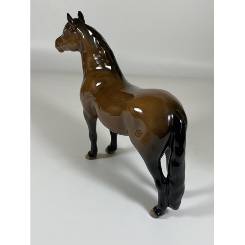 705 - A BESWICK DARTMOOR JENTYL 1642 BROWN GLOSS PONY FIGURE, HEIGHT 16.5CM