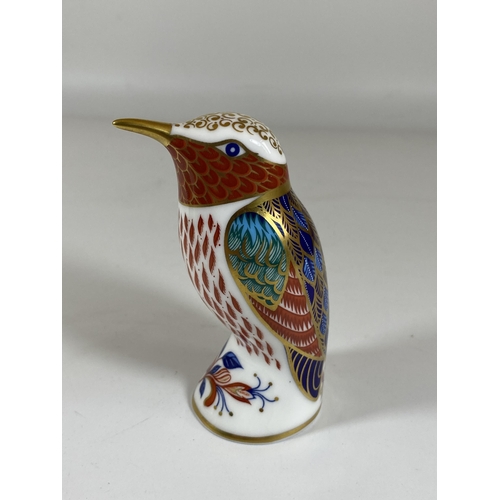 722 - A ROYAL CROWN DERBY KINGFISHER PAPERWEIGHT WITH GOLD STOPPER