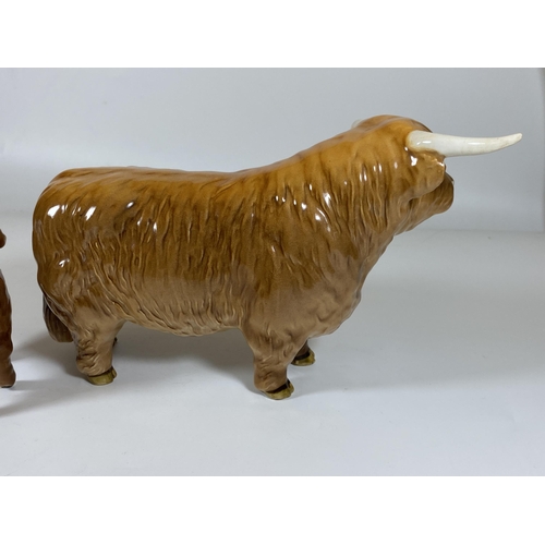 724 - A BESWICK HIGHLAND BULL, MODEL 2008 & HIGHLAND CALF, MODEL 1827D, ONE HORN A/F