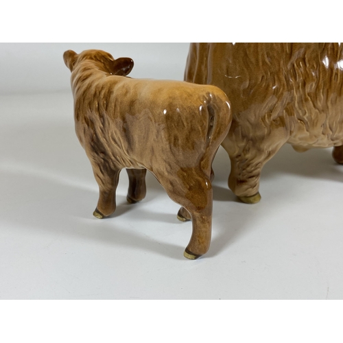 724 - A BESWICK HIGHLAND BULL, MODEL 2008 & HIGHLAND CALF, MODEL 1827D, ONE HORN A/F