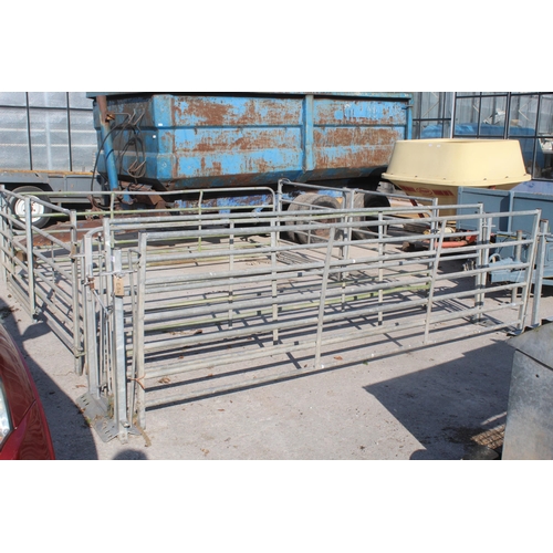 280 - A 10FT x 8FT EXTENDABLE GALVANISED SHEEP DRENCHING PEN WITH CONNECTION RODS + VAT