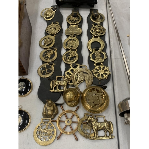 186 - A QUANTITY OF BRASSWARE TO INCLUDE HORSE BRASSES ON MARTINGALES, A HEAVY OWL, BUDDAH, ETC