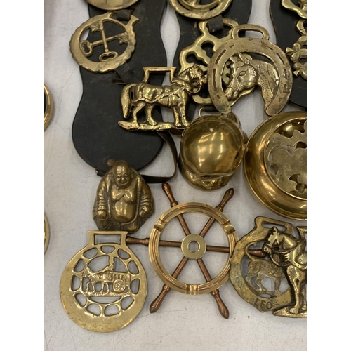 186 - A QUANTITY OF BRASSWARE TO INCLUDE HORSE BRASSES ON MARTINGALES, A HEAVY OWL, BUDDAH, ETC