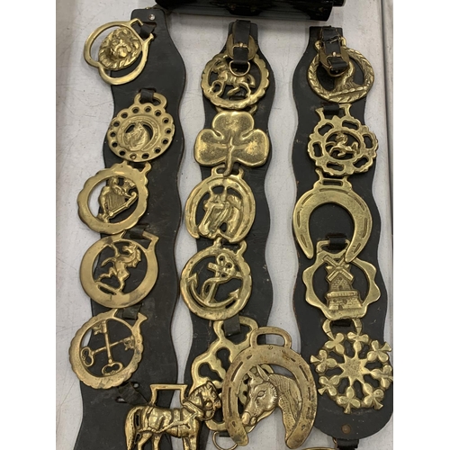 186 - A QUANTITY OF BRASSWARE TO INCLUDE HORSE BRASSES ON MARTINGALES, A HEAVY OWL, BUDDAH, ETC