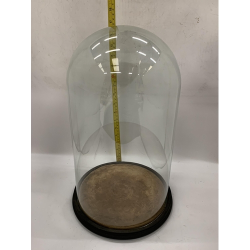 18 - A VINTAGE GLASS DISPLAY CLOCHE DOME, HEIGHT 45CM