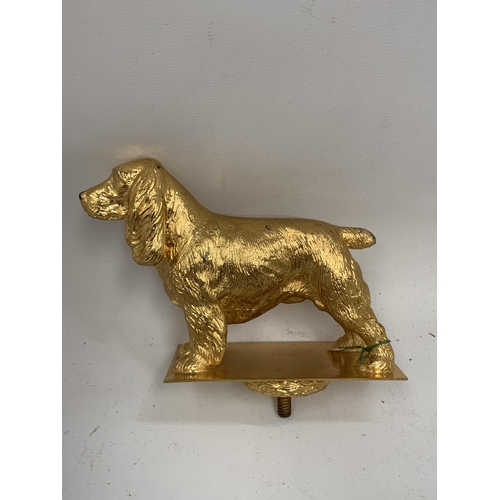 19 - A VINTAGE GOLD PAINTED COCKER SPANIEL DOG MASCOT