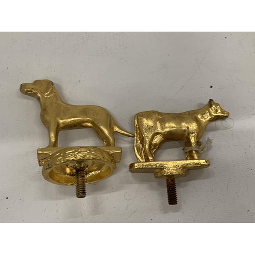 9 - TWO VINTAGE GOLD PAINTED CAR MASCOTS - COW AND DOG