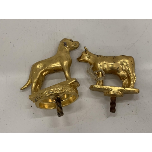 9 - TWO VINTAGE GOLD PAINTED CAR MASCOTS - COW AND DOG