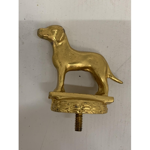 9 - TWO VINTAGE GOLD PAINTED CAR MASCOTS - COW AND DOG