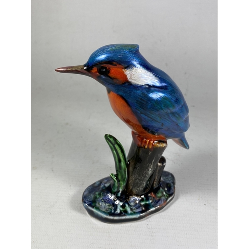 732 - AN ANITA HARRIS KINGFISHER HAND PAINTED AND SIGNED IN GOLD