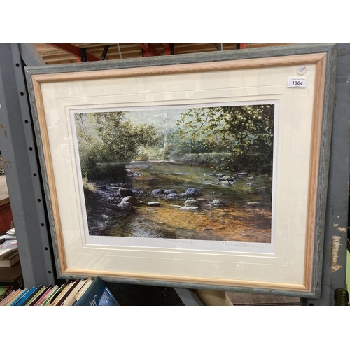 1064 - A FRAMED PENCIL SIGNED LIMITED EDITION PRINT TITLED 'STEPPING STONES'