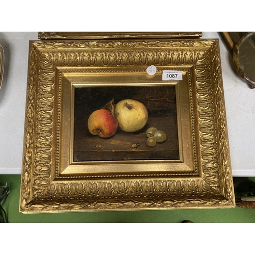 1087 - A 19TH CENTURY GILT FRAMED STILL LIFE OIL PAINTING BY EDWARD GEORGE HANDEL LUCAS, SIGNED E.G.H LUCAS... 