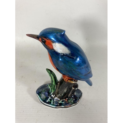 732 - AN ANITA HARRIS KINGFISHER HAND PAINTED AND SIGNED IN GOLD