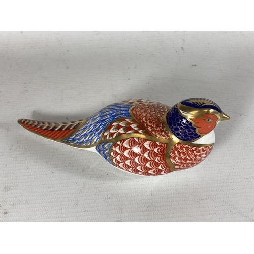 741 - A ROYAL CROWN DERBY PHEASANT (SECOND)