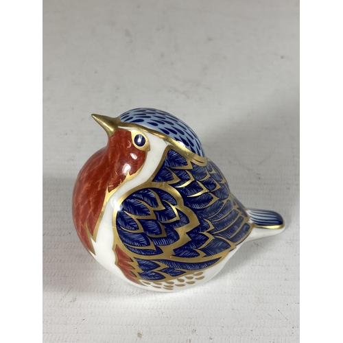 743 - A ROYAL CROWN DERBY ROBIN PAPERWEIGHT, NO STOPPER