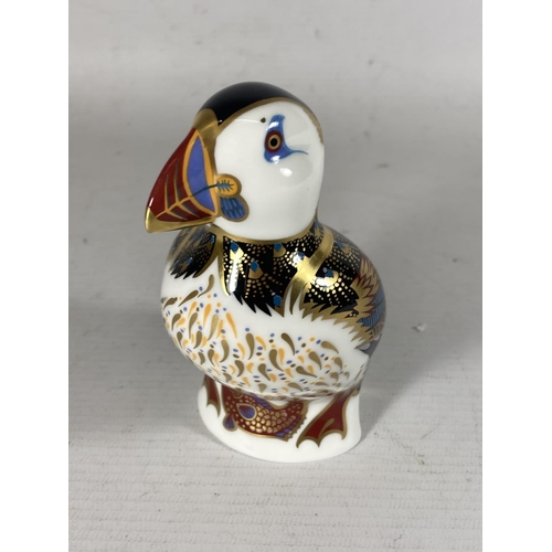 748 - A ROYAL CROWN DERBY PUFFIN PAPERWEIGHT, SILVER STOPPER