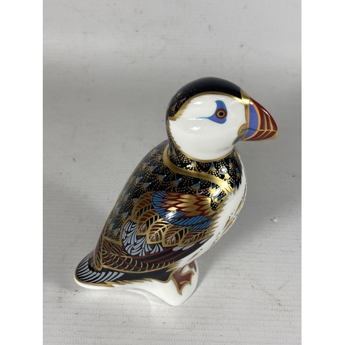 748 - A ROYAL CROWN DERBY PUFFIN PAPERWEIGHT, SILVER STOPPER