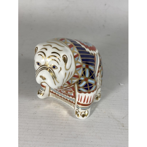 749 - A ROYAL CROWN DERBY BULLDOG PAPERWEIGHT, SILVER STOPPER