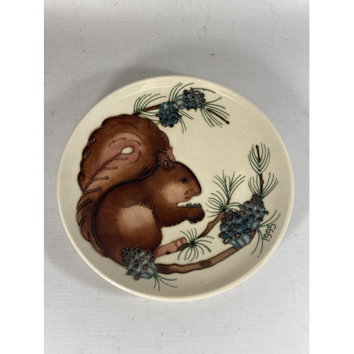 752 - A LIMITED EDITION MOORCROFT POTTERY SQUIRREL PATTERN PLATE, NUMBER 330/500, 1995