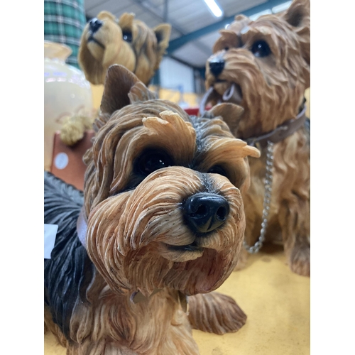 933 - FOUR LARGE LEONARDO MODELS OF YORKSHIRE TERRIERS