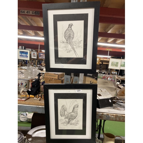 1053 - TWO PENCIL SKETCHED PRINTS, A CAPERCAILLIE AND A PHEASANT