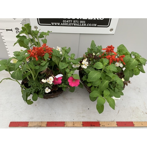 32 - TWO WICKER HANGING BASKETS PLANTED WITH SEASONAL BEDDING PLANTS + VAT