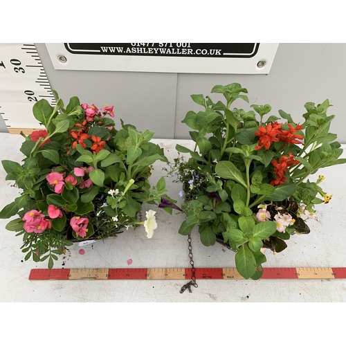 35 - TWO WICKER HANGING BASKETS PLANTED WITH SEASONAL BEDDING PLANTS + VAT