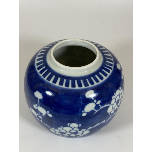 312 - A CHINESE BLUE AND WHITE PRUNUS BLOSSOM GINGER JAR, DOUBLE RING MARK TO BASE, HEIGHT 13CM