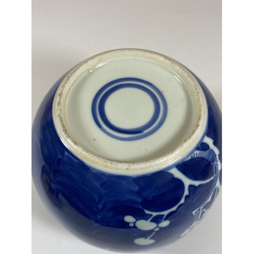 312 - A CHINESE BLUE AND WHITE PRUNUS BLOSSOM GINGER JAR, DOUBLE RING MARK TO BASE, HEIGHT 13CM