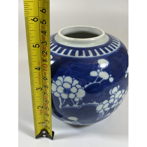 312 - A CHINESE BLUE AND WHITE PRUNUS BLOSSOM GINGER JAR, DOUBLE RING MARK TO BASE, HEIGHT 13CM